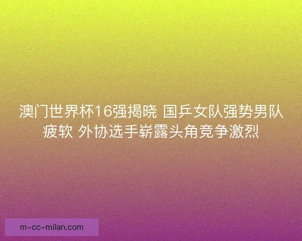 澳门世界杯16强揭晓 国乒女队强势男队疲软 外协选手崭露头角竞争激烈
